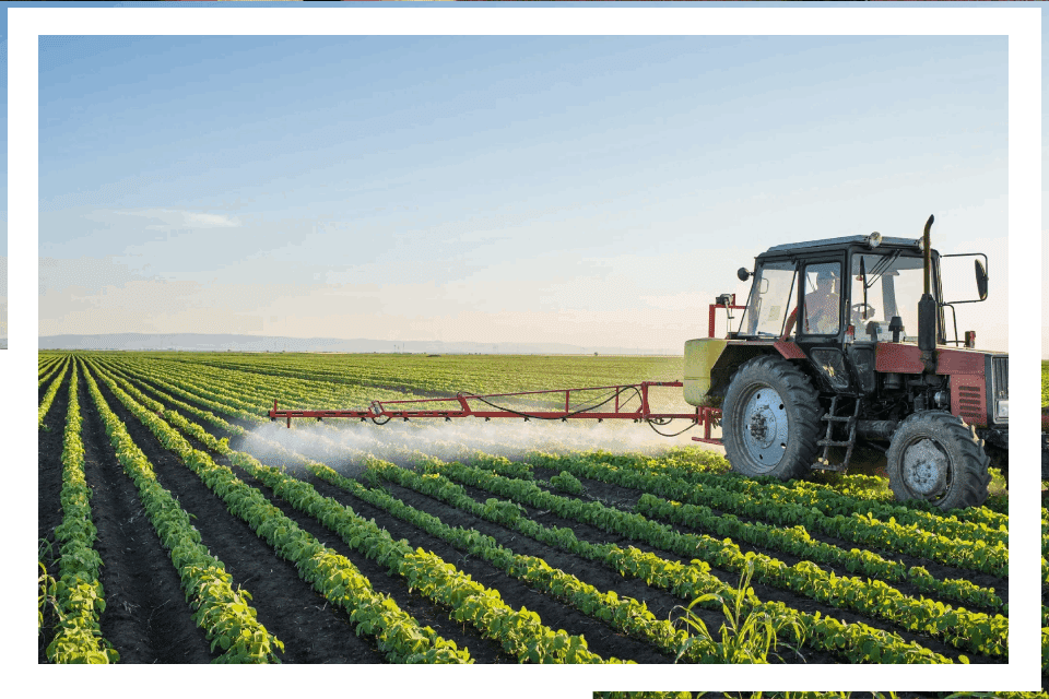 Tractor spraying crops in a field.